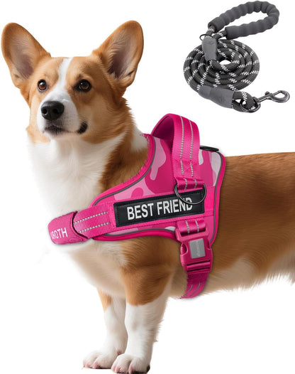 AUROTH Dog Harness and Leash Set, Soft Padded Service Dog Vest with 5.25FT Dog Leash, No Choke, Easy on Pet Vest, Adjustable Reflective No Pull Pet Vest Medium Sized Dog, Easy Walking and Training26