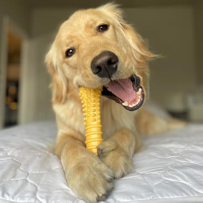 Nylabone Power Chew Customer Favorites Dog Chew Toys, 3 Count, Large | Flavor Medley, Peanut Butter, and Beef Flavor, Durable Dog Toys for Aggressive Chewers, for Large Breeds up to 50 Lbs5