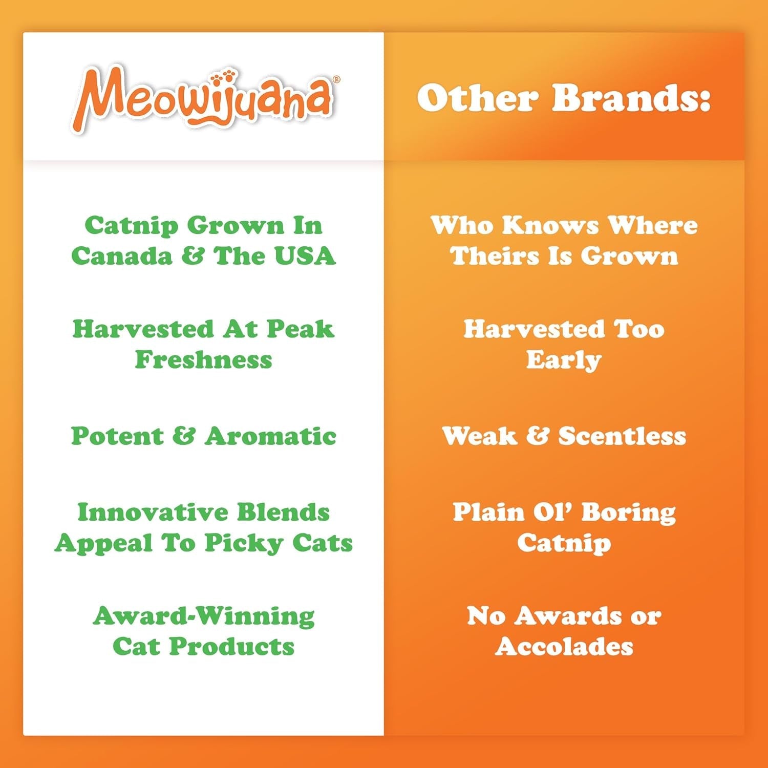 meowijuana-catnibas-catnip-pawty-mix-jar-high-potency-catnip-blend-organic-hand-harvested-north-american-catnip-blend-for-cats-fine-ground-for-toys-beds-scratchers-play-or-calm