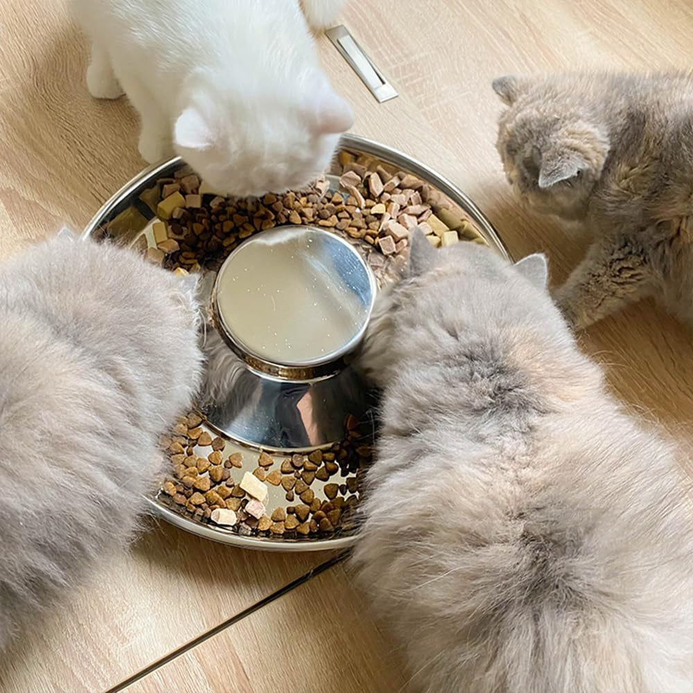 stainless-steel-puppy-bowls-2-pack-pet-slow-feeder-bowls-water-bowl-feeding-weaning-for-small-medium-large-dogs-cat-pets-2-pack-large-1-3-x-13-6