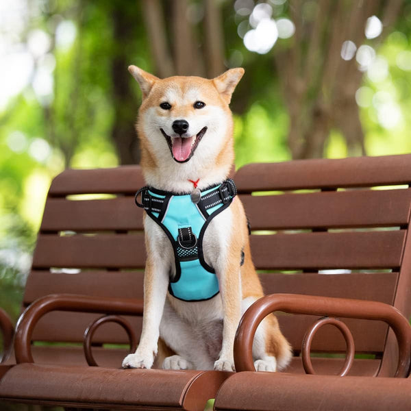 Poypet No Pull Dog Harness with 4 Snap Buckles, Reflective with Front & Back 2 Leash Hooks and an Easy Control Handle [NO Need Go over Dog’S Head](Mint Blue,M)2