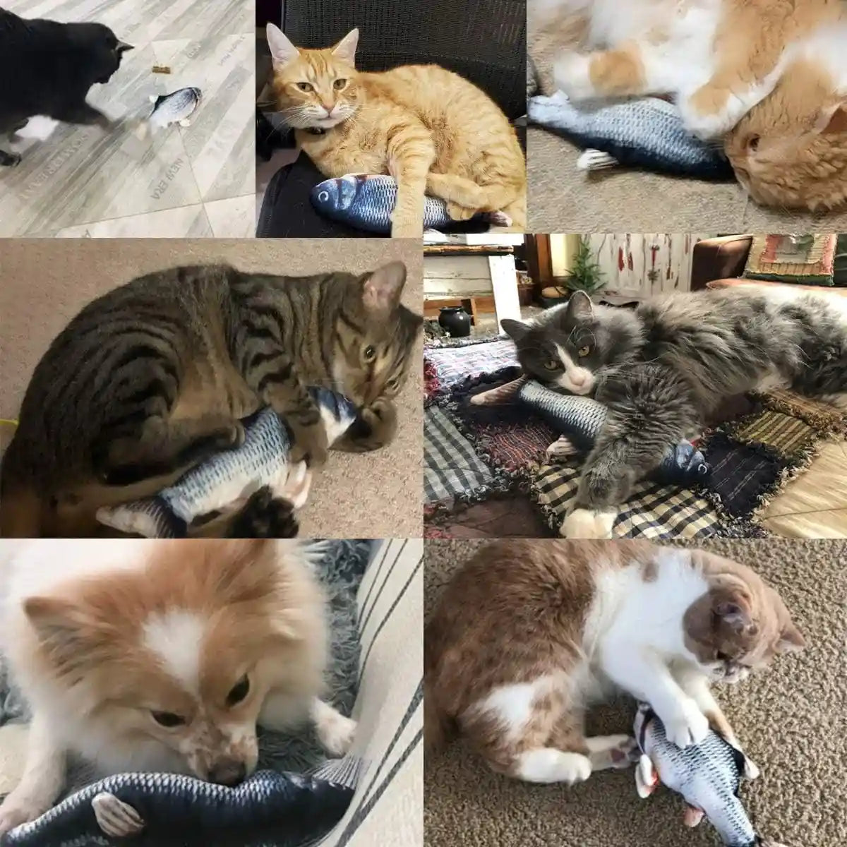 tocirelo-cat-toys-flopping-fish-with-catnip-moving-cat-toy-interactive-for-indoor-cats-kitten-kicker-floppy-dog-toy-11-electric-realistic-plush-wiggle-fish-for-kitty-exercise