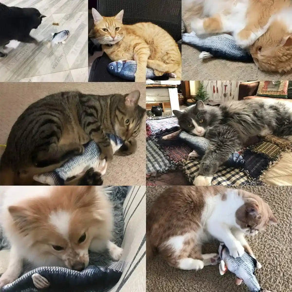 Tocirelo Cat Toys Flopping Fish with Catnip, Moving Cat Toy Interactive for Indoor Cats, Kitten Kicker Floppy Dog Toy, 11" Electric Realistic Plush Wiggle Fish for Kitty Exercise7