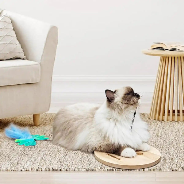 JXFUKAL Interactive Cat Toy, Automatic Cat Wand Toy with Stable Wooden Base, 2 PCS Detachable Cat Teaser, 5PCS Refills Replacement & Hanging Elastic String, Kitty Kitten Toys Feather Spring Bird Toy8