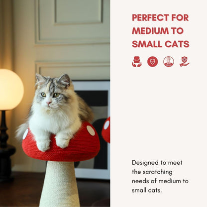 Mushroom Cat Scratching Post - Unique Design, Sisal-Wrapped, Ideal for Medium and Small Cat, Cat Scratcher Cute with 100% Sisal Covered Scratching Post7