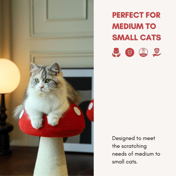 Mushroom Cat Scratching Post - Unique Design, Sisal-Wrapped, Ideal for Medium and Small Cat, Cat Scratcher Cute with 100% Sisal Covered Scratching Post7
