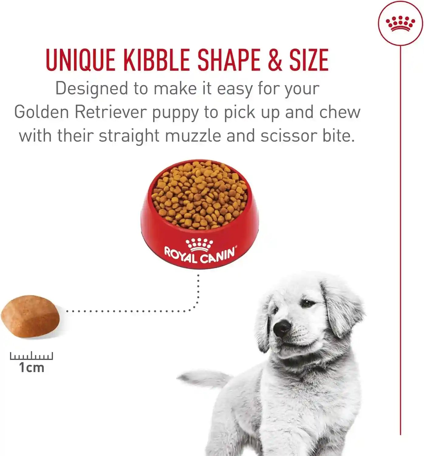royal-canin-breed-health-nutrition-golden-retriever-puppy-dry-dog-food-30-lb-bag-specialized-nutrition-for-growth-supports-healthy-skin-and-coat-antioxidant-rich-recipe-30-pound-bag