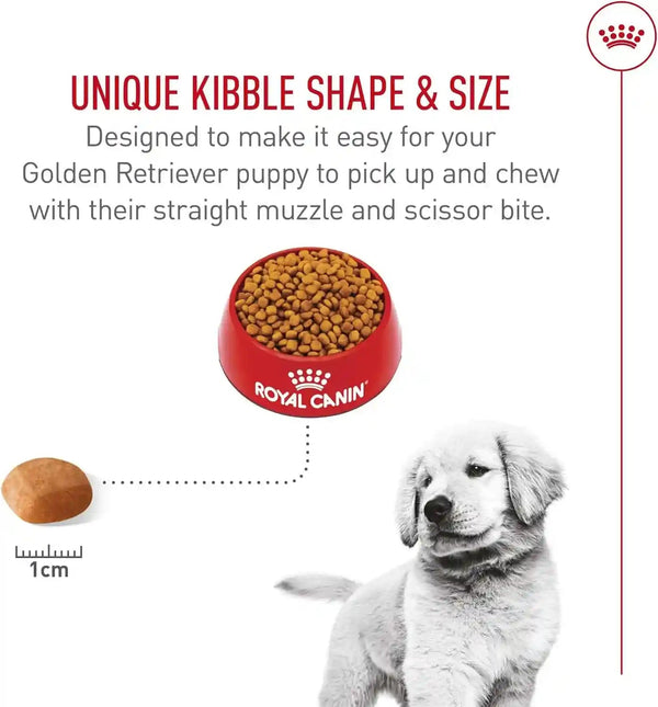 ROYAL CANIN Breed Health Nutrition Golden Retriever Puppy Dry Dog Food, 30 Lb Bag | Specialized Nutrition for Growth, Supports Healthy Skin and Coat, Antioxidant-Rich Recipe, 30 Pound Bag7