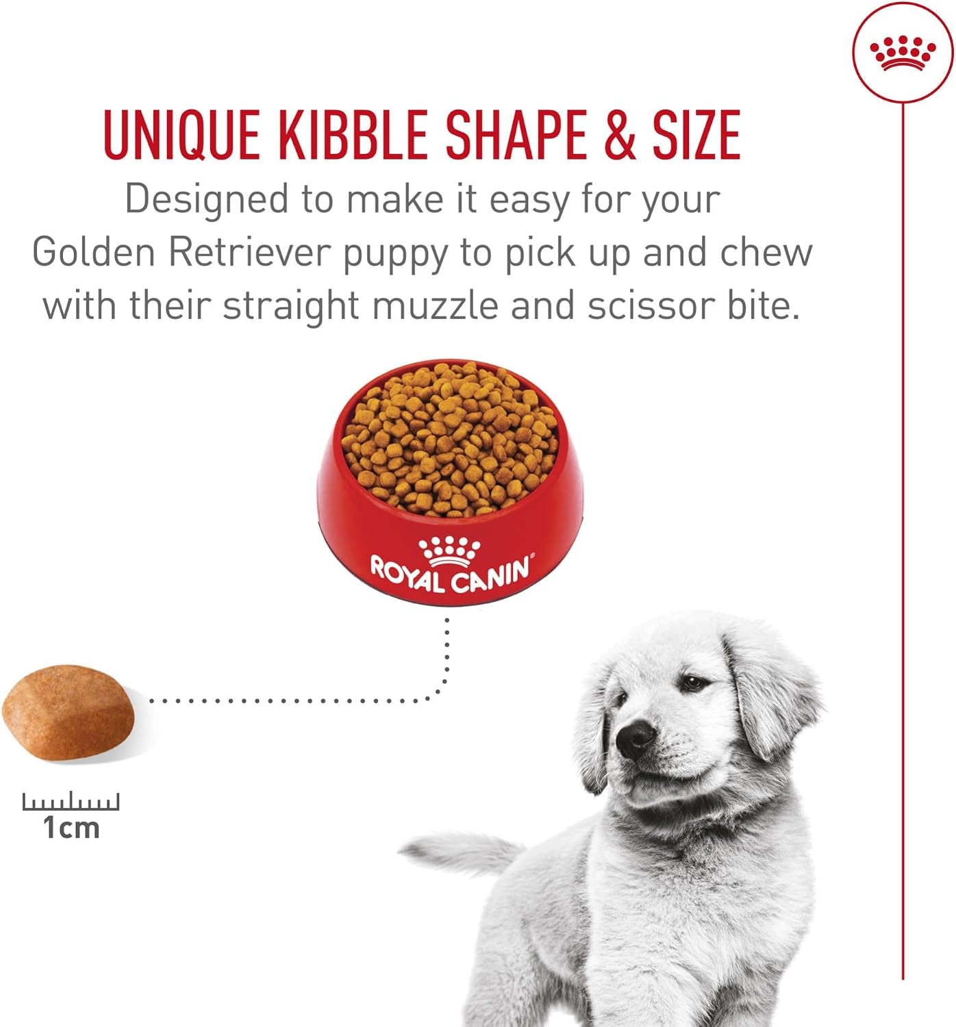royal-canin-breed-health-nutrition-golden-retriever-puppy-dry-dog-food-30-lb-bag-specialized-nutrition-for-growth-supports-healthy-skin-and-coat-antioxidant-rich-recipe-30-pound-bag