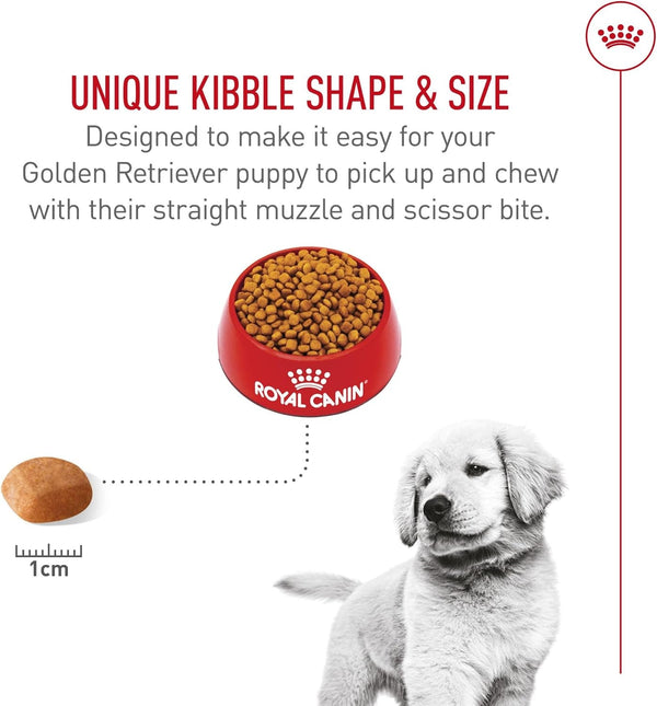 ROYAL CANIN Breed Health Nutrition Golden Retriever Puppy Dry Dog Food, 30 Lb Bag | Specialized Nutrition for Growth, Supports Healthy Skin and Coat, Antioxidant-Rich Recipe, 30 Pound Bag7