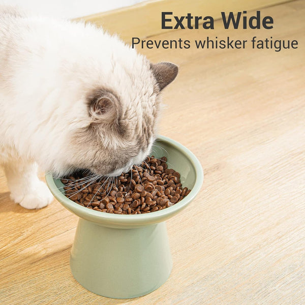 CEEFU Extra Wide Elevated Ceramic 6.2" Shallow Cat Food Bowl | Cat Dish for Whisker Fatigue Relief, 5" Height for Easy Feeding, Lead & Cadmium Free, Durable Raised Cat Bowl, Sage Green3