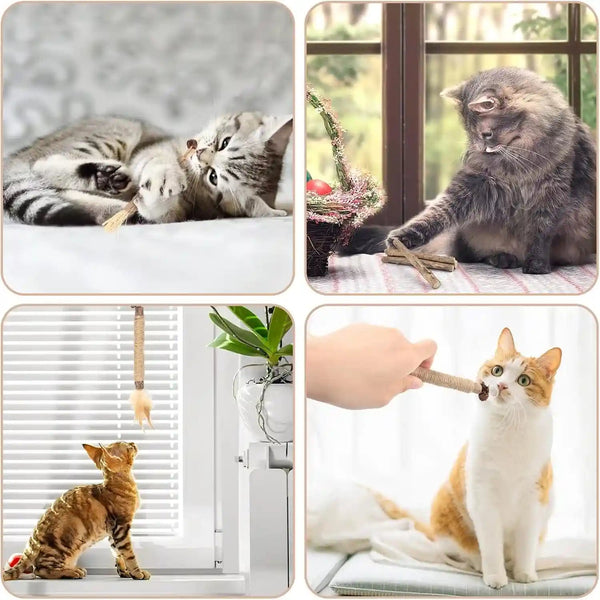 Bissap 10 PCS Silvervine Chew Sticks for Cats, Catnip Chew Sticks Cat Toys for Indoor Cat Kitten Teeth Grinding Interactive Feather Toys for Aggressive Chewers Dental Care6