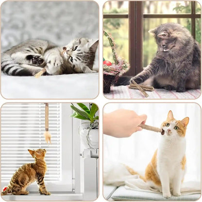Bissap 10 PCS Silvervine Chew Sticks for Cats, Catnip Chew Sticks Cat Toys for Indoor Cat Kitten Teeth Grinding Interactive Feather Toys for Aggressive Chewers Dental Care6