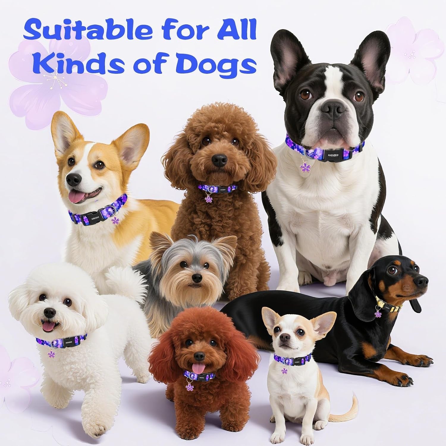 kazazoo-dog-collar-cute-and-soft-nylon-puppy-collar-girl-dogs-adjustable-purple-dog-collars-for-medium-dogs-purple-flowers-m