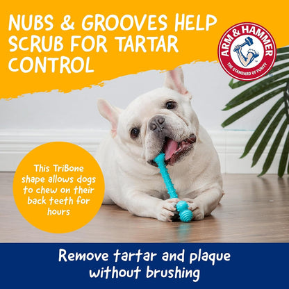 Arm and Hammer Nubbies T-Bone Dental Dog Chew Toy with Peanut Butter Flavor, TPR Nubs Clean Teeth and Gums, Durable Nylon Chew for Aggressive Chewers, Helps Reduce Plaque and Tartar3