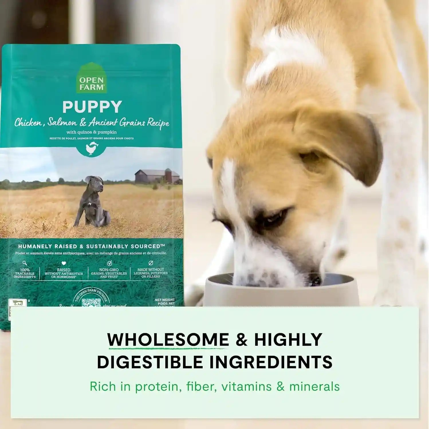 open-farm-ancient-grains-dry-puppy-food-chicken-salmon-kibble-4lb-bag-all-puppies-all-breed-sizes-protein-rich-nutrient-dense-100-traceable-ingredients-non-gmo-fruits-veggies