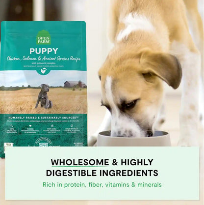 Open Farm Ancient Grains Dry Puppy Food, Chicken & Salmon Kibble, 4Lb Bag | All Puppies, All Breed Sizes, Protein-Rich & Nutrient Dense, 100% Traceable Ingredients, Non-Gmo Fruits & Veggies.4