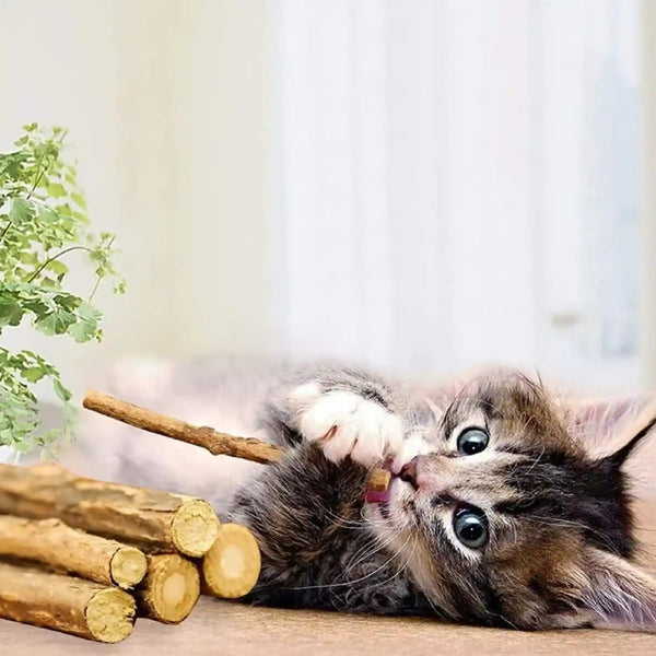 Wolover Silvervine Sticks for Cats, Natural Catnip Matatabi Chew Sticks Teeth Molar Chew Toys for Cat Kitten Kitty (At Least 12 PCS)2