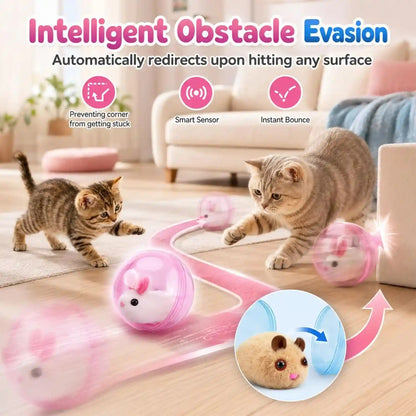 2026 Self-Rolling Interactive Cat Ball, Moving Rolling Cat Ball 360° Rolling Spin Moving Cat Ball, Cute Pet Rotating Toys, Fun Indoor Interactive Pet Ball for Cats Dogs Chasing ((Pink, Little Rabbit))4