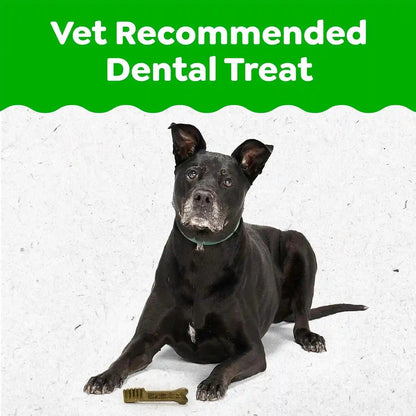 Greenies Senior Teenie Size Adult Natural Dental Dog Treats, 96 Count | Veterinarian-Recommended, Cleans Teeth, Freshens Breath, Supports Joint Health, Dogs 7+ (5-15 Lbs), 27 Oz. Pack3