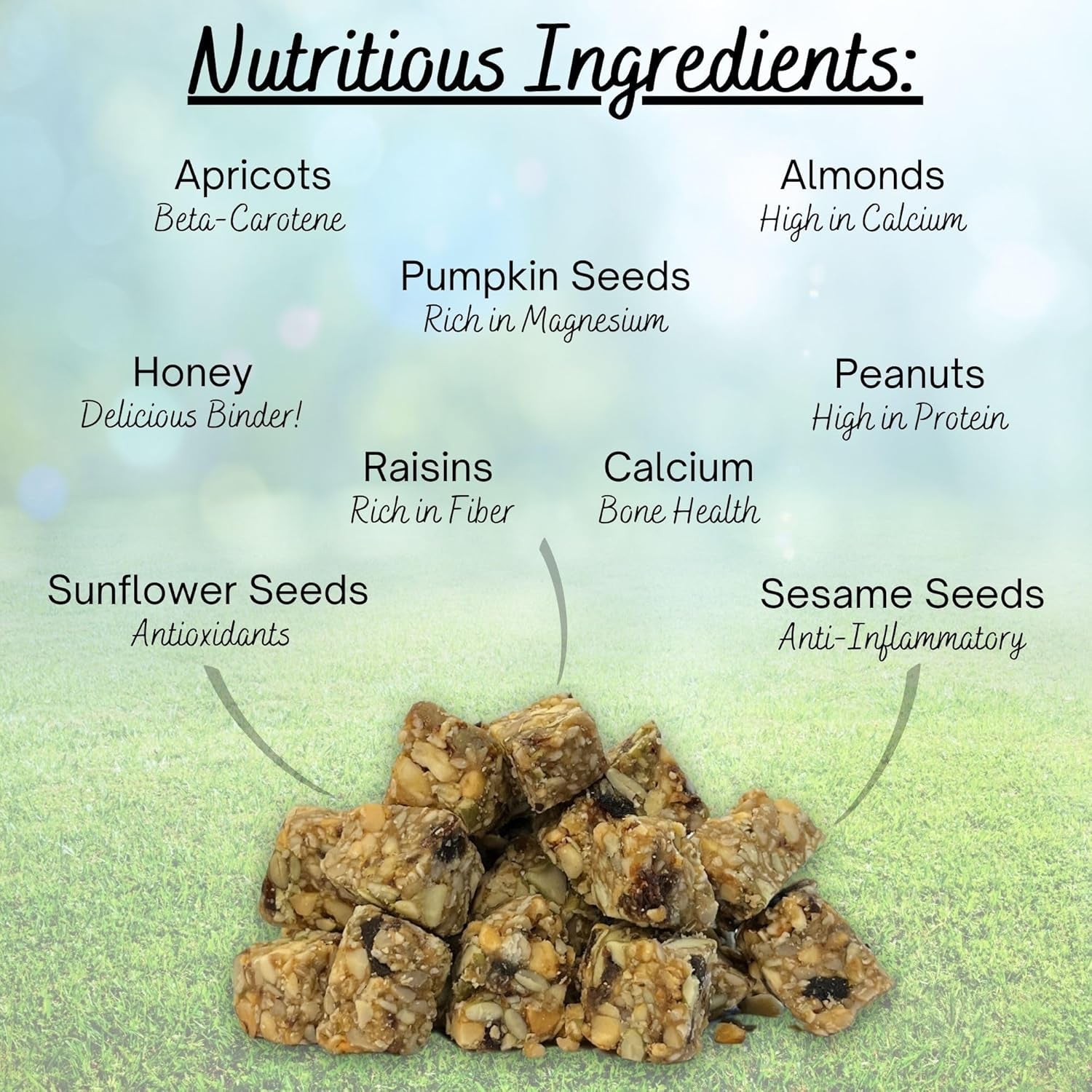 exotic-nutrition-squirrel-beneficial-blocks-healthy-unique-supplemental-food-with-nuts-seeds-10-oz