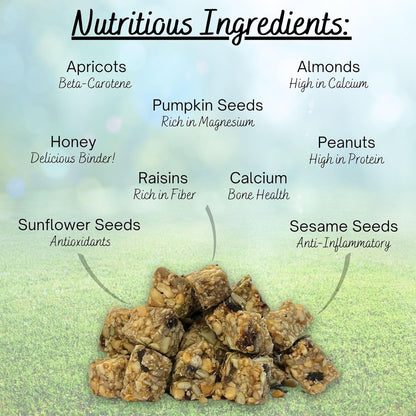 Exotic Nutrition Squirrel Beneficial Blocks - Healthy & Unique Supplemental Food with Nuts & Seeds, 10 Oz5