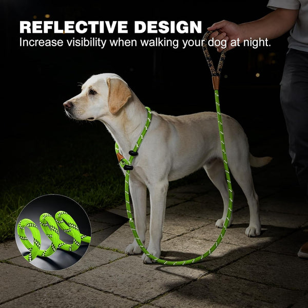 Lynxking Slip Lead Dog Leash Reflective, Heavy Duty Comfortable Strong Rope for Large Medium Small Dogs No Pull Pet Training (Light Green, Large 1/2In X 6Ft-Slip Lead)7