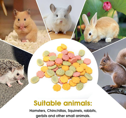 Abizoo 3 Vegetable Chews Treats: Grain Free Natural Snacks with Beet, Carrot, Spinach for Hamsters, Rabbits, Guinea Pigs & Gerbils Crunchy for Digestive Support & Dental Health 1.76Oz/50G8