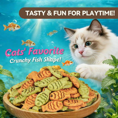 Catnip Cat Treats, Chicken & Salmon Flavor, Crunchy Bites, 16 Oz | Catnip-Infused Fish-Shaped Biscuits with Chicken and Salmon Flavors, Made for Training, Rewarding, and Everyday Bonding4