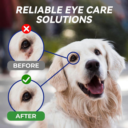 Wellix Pet Eye Drops for Dog & Cat, Non-Irritating Taurine Dog Eye Drop | Dog & Cat Eye Infection Treatment to Soothe Eye Allergy, Dry Eyes Pink Eyes, Dog Tear Stain Cleaner | Mild Herbal Blend, 60Ml8