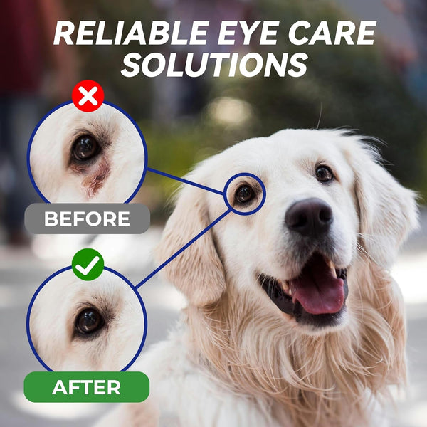 Wellix Pet Eye Drops for Dog & Cat, Non-Irritating Taurine Dog Eye Drop | Dog & Cat Eye Infection Treatment to Soothe Eye Allergy, Dry Eyes Pink Eyes, Dog Tear Stain Cleaner | Mild Herbal Blend, 60Ml8
