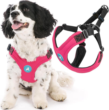 Gooby Escape Free Sport Harness - Red, Medium - No Choke Step-In Patented Neoprene Small Dog Harness with Four-Point Adjustment - Perfect on the Go Dog Harness for Medium Dogs No Pull and Small Dogs7
