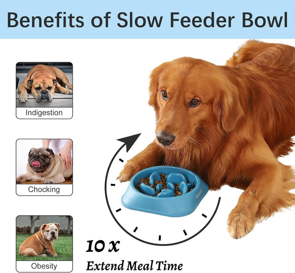 Mateeylife 2-Pack Slow Feeder Dog Bowls, 2 Cups, Dog Puzzle Feeder Bowl | Food-Contact Safe, Dishwasher Safe, Non-Slip Base, Maze Design, for Fast Eaters, for Dogs and Cats, Daily Mealtimes2