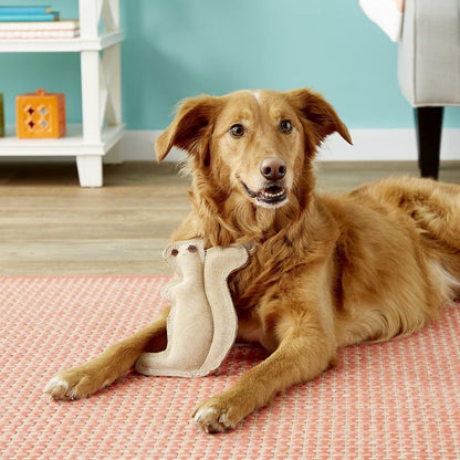SPOT Dura-Fused Leather Squirrel Dog Toy – Real Leather & Jute Fabric, Double-Stitched & Durable, Soft Stuffed Squeaky Interactive Chew Toy for Moderate Chewers, Small & Medium Dogs, 8In3