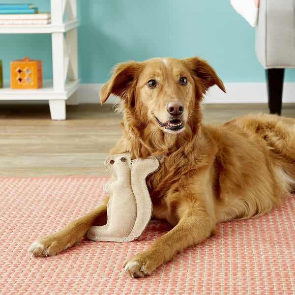 SPOT Dura-Fused Leather Squirrel Dog Toy – Real Leather & Jute Fabric, Double-Stitched & Durable, Soft Stuffed Squeaky Interactive Chew Toy for Moderate Chewers, Small & Medium Dogs, 8In3