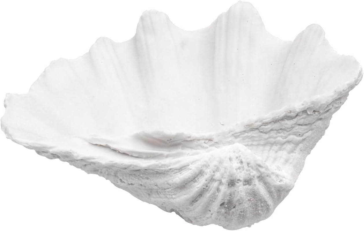 medium-white-scalloped-clam-shell-bowl-sea-shell-decor-for-nautical-beach-house-coastal-decor-gift-of-housewarming-and-wedding-party
