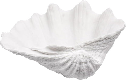 Medium White Scalloped Clam Shell Bowl Sea Shell Decor for Nautical Beach House,Coastal Decor Gift of Housewarming and Wedding Party1