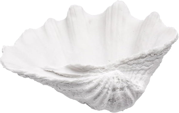 Medium White Scalloped Clam Shell Bowl Sea Shell Decor for Nautical Beach House,Coastal Decor Gift of Housewarming and Wedding Party1