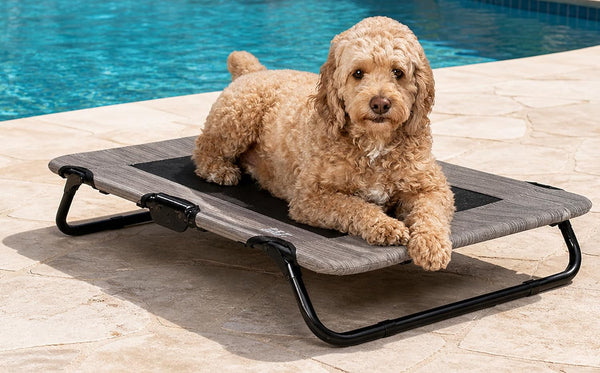 Pet Gear Lifestyle Pet Cot Elevated Bed, 30 Inch, Caribbean Ocean | No Assembly Required, Premium Tear Resistant Cooling Mesh, Indoor & Outdoor, Lightweight & Portable5