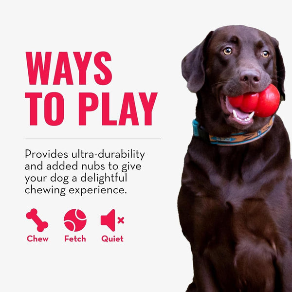 KONG Ring - Natural Rubber Ring Toy for Healthy Chewing Habits - Chew Toy Supports Dog Dental Health - Dog Toy Supports Instincts during Playtime - for Small/Medium Dogs5