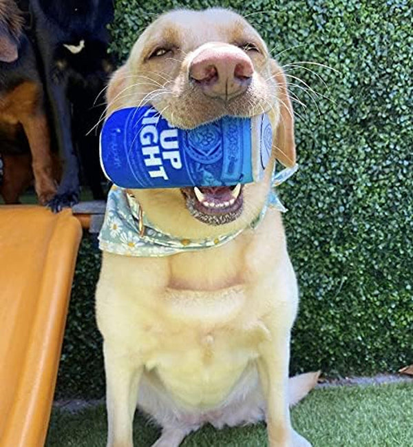 Nestpark Pup Light and Pups Blue Rubbin - Parody Beer Dog Toys - Funny Plush Squeaky and Crinkle Dog Toys Dog Gifts for Dog Birthday (2 Pack) (Mix)5