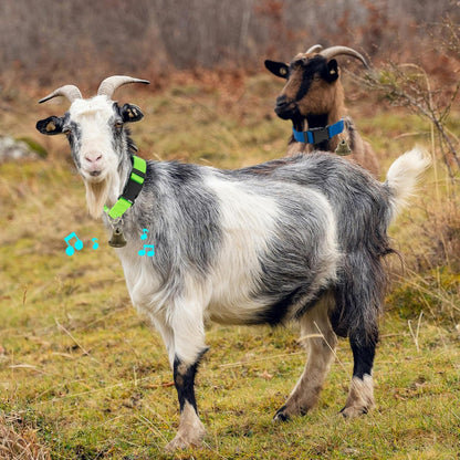 3 Pack Goat Collars with Loud Bells, Anti-Lost Grazing Pet Collar | Adjustable Collar & Copper Bells Small Farm Animals Accessories for Livestock, Sheep, Calf (13.8"-20.9")6