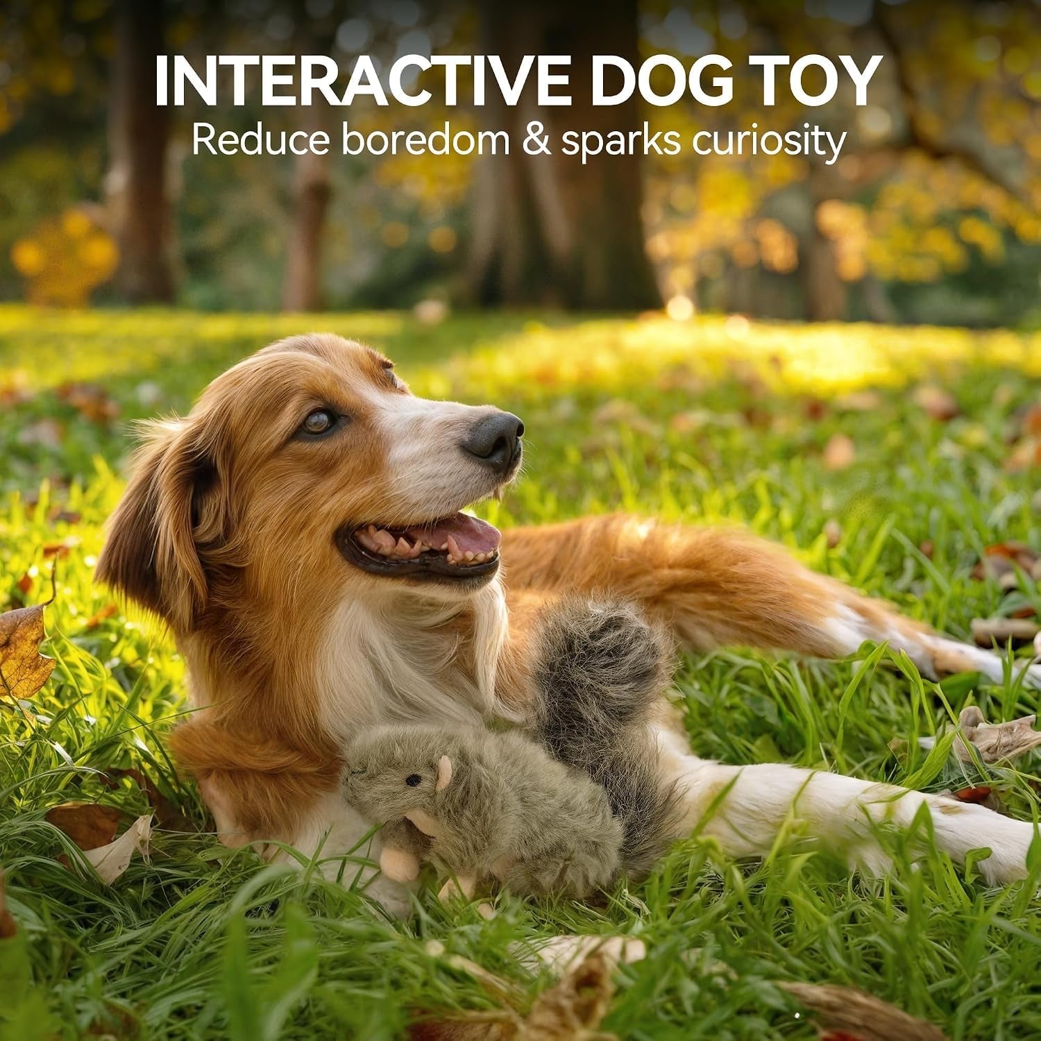all-for-paws-classic-squirrel-pet-toys-small
