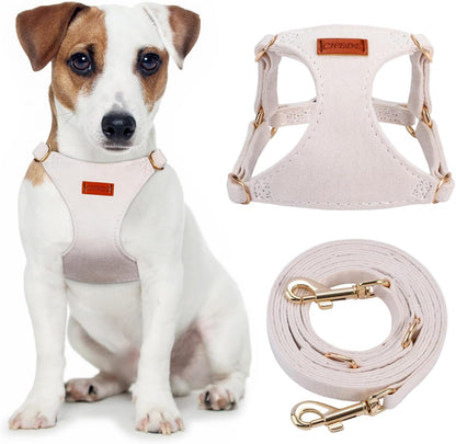 CHEDE No Pull Puppy Harness and Multifunction Dog Leash Set- 8 Colors Soft Adjustable No Choke Escape Proof Cute,Lightweight Pet Vest Harness for Small and Medium Dog…9