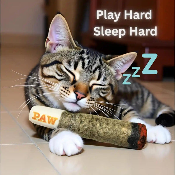 Nestpark Cat Doobie Catnip Cat Toy - Crinkle Kitten Kicker with Extra Strong Catnip - Funny Interactive Cat Toy Indoor Cat Gifts5