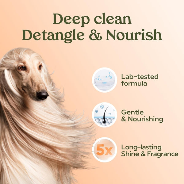 PAWFUME Deshedding Dog Shampoo and Conditioner, Show Dog, 1-Pack – Nourish & Detangle for Silky Soft Coat – Probiotic, Deep-Cleaning, Ph-Balanced Formula – Salon-Quality Shampoo for Dogs5