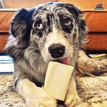 Redbarn Pet Products Small Filled Dog Bones, Peanut Butter Flavor - Long Lasting Stuffed Femur Chew Treat Made in USA - 4 Count - Packaging May Vary5