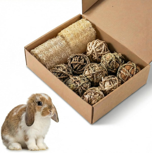 11 Pcs Rabbit Chew Toys, Interactive Bunny Foraging Toy, Natural Materials, Loofah Sponges, Seagrass Balls, Dental Cleaning, Relieve Stress1