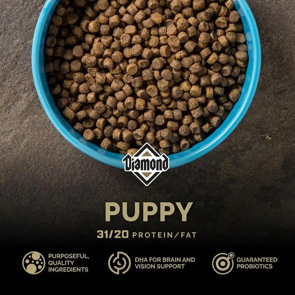 Diamond Puppy High Protein Dry Dog Food, Chicken Protein, 40Lb | Puppy, Adult & Senior Dogs | DHA for Proper Brain & Vision Development | Guaranteed Probiotics for Digestive Support3
