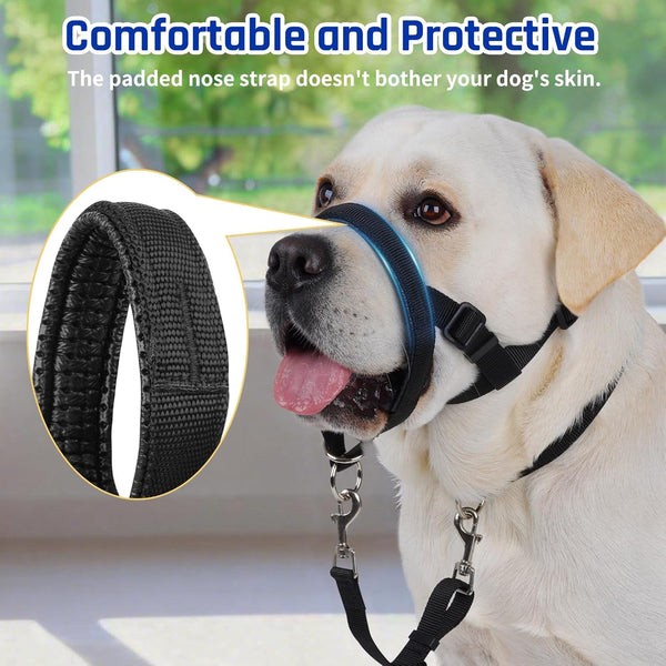BARKLESS Dog Training Head Collar Stops Pulling and Improves Leash Walking | Anti-Pull Head Hatler with Adjustable Safety Strap, Soft Padded Muzzle Leash for Walking Training Leash Reactive Large Dogs7